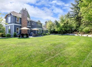 Yard Of The House