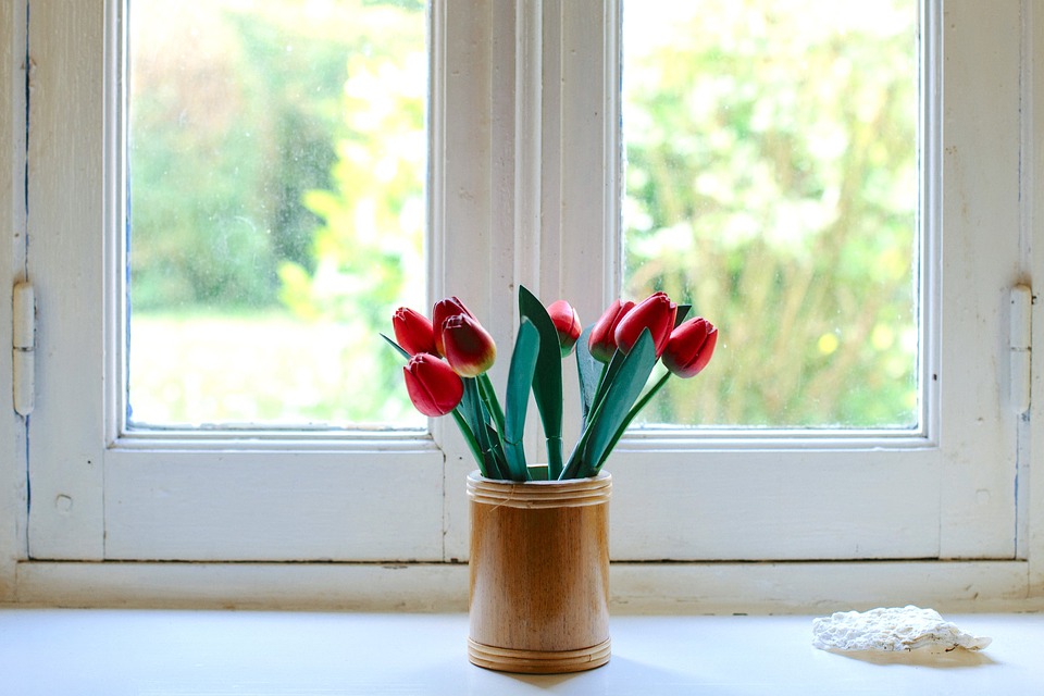 Indoor flower on the windowsill