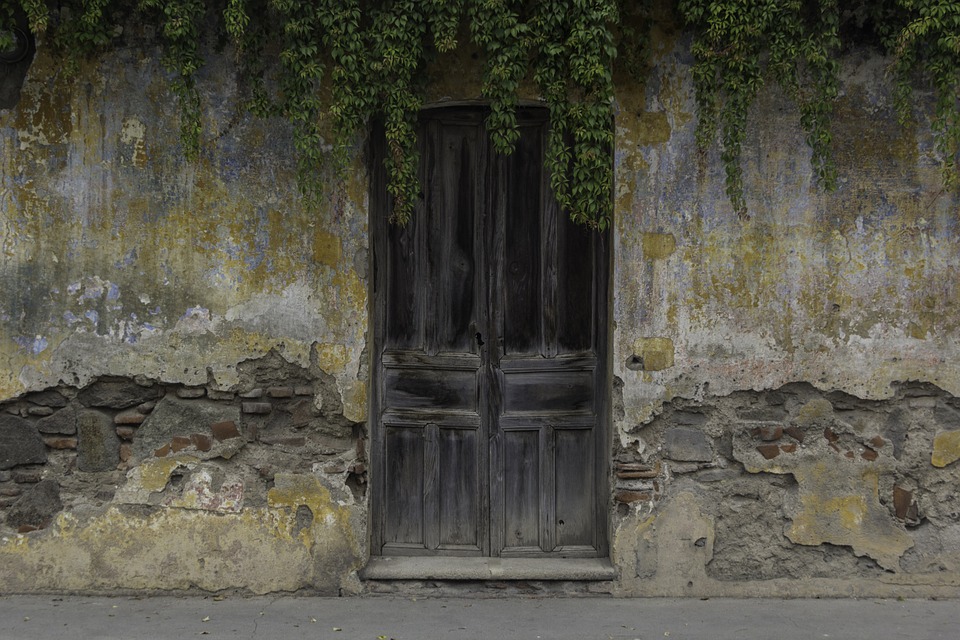 Black wooden door