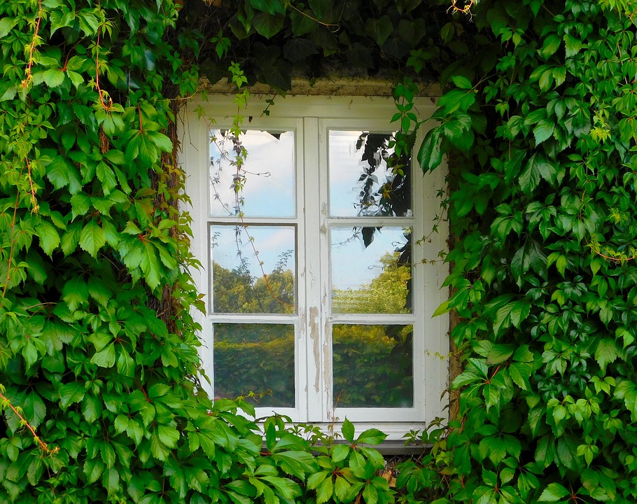 Casement Windows
