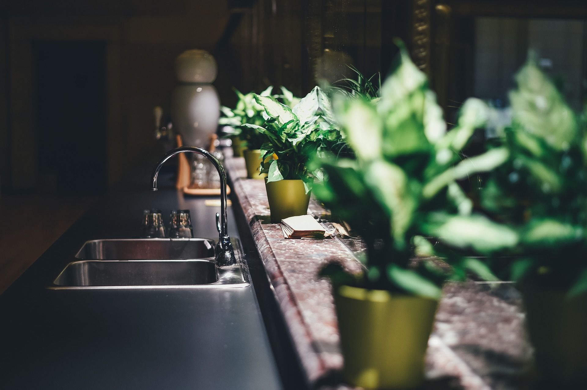 Best kitchen faucet and a sink and a indoor plants