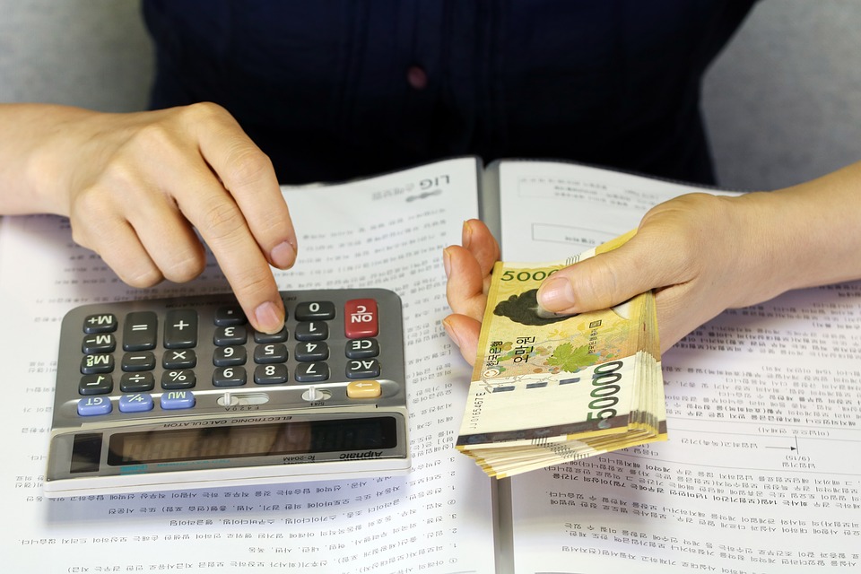 Woman Calculating income