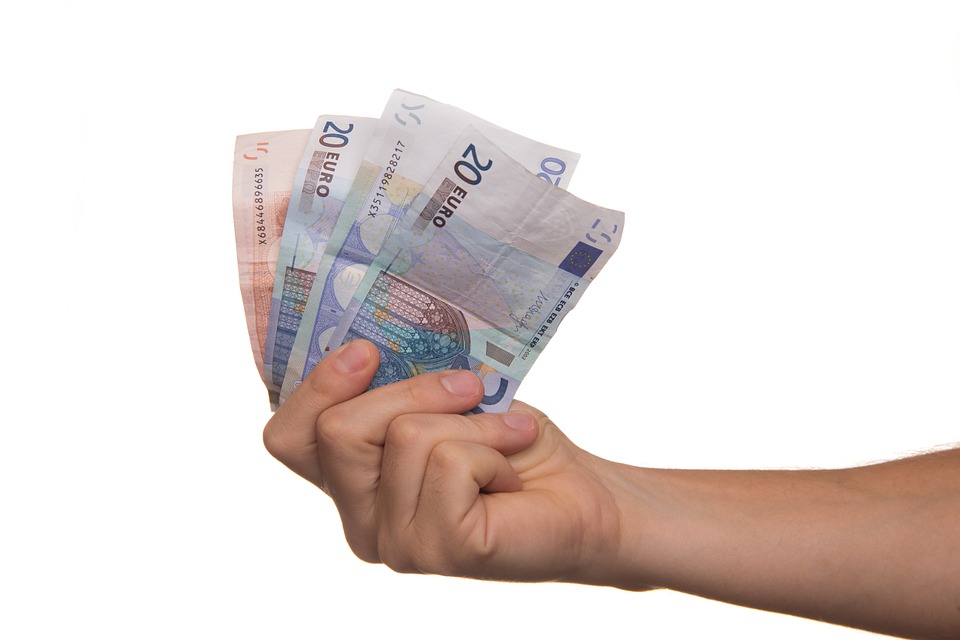 Hand holding euro