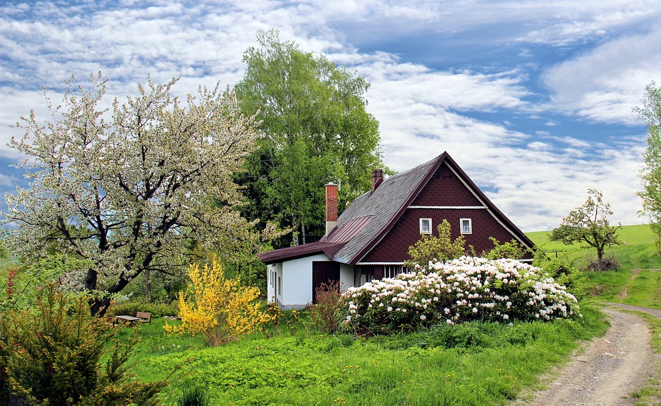 Concrete house near trees
