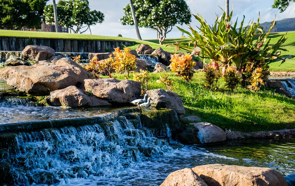 Rock garden